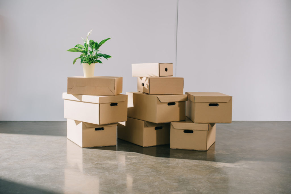 stacked cardboard boxes